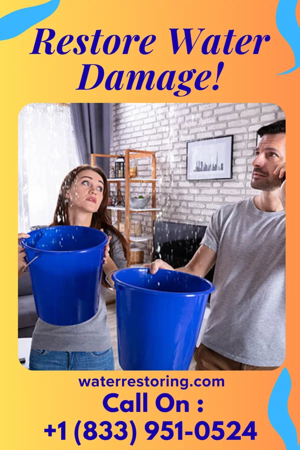 water restoration Prestige Mitigation Solutions Okabena