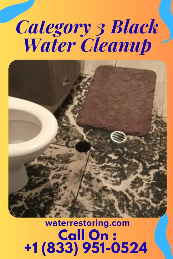 Category 3 Black Water Cleanup in Okabena, MN