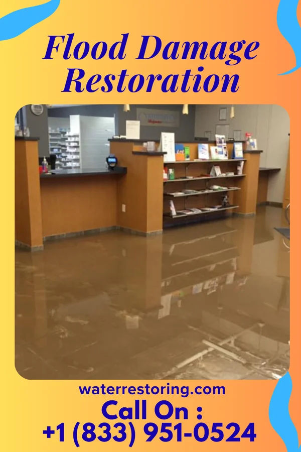 Flood Damage Restoration in Okabena, MN