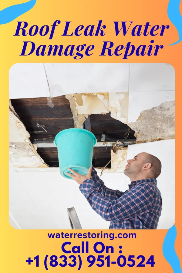 Roof Leak Water Damage Repair in Okabena, MN