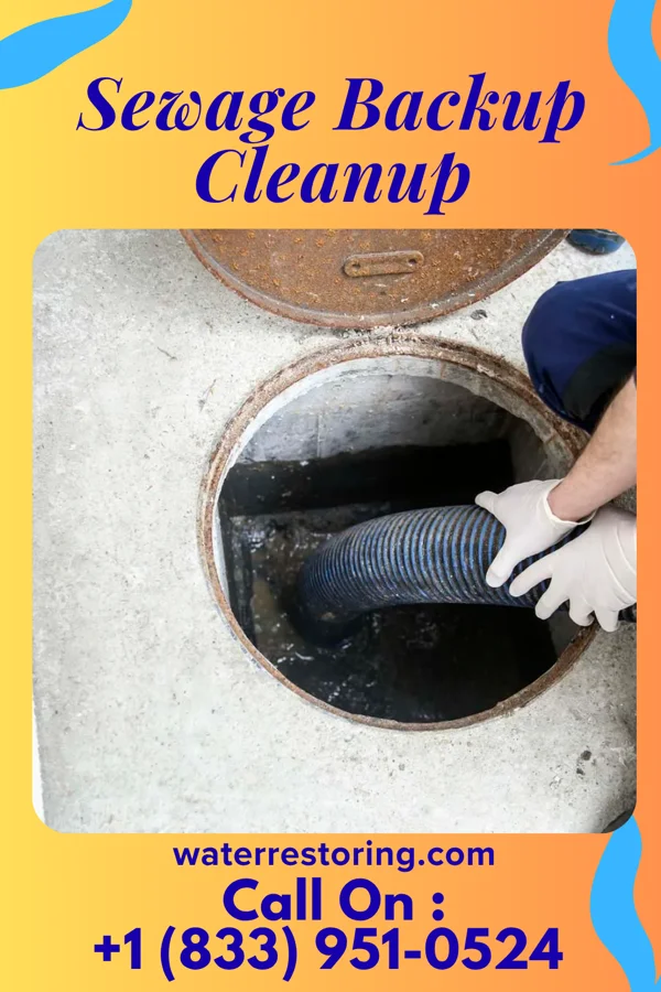 Sewage Backup Cleanup in Okabena, MN