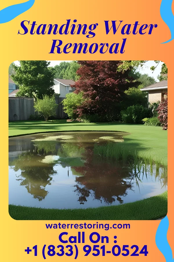 Standing Water Removal in Okabena, MN